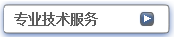 专业技术服务